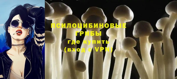 гидра Надым