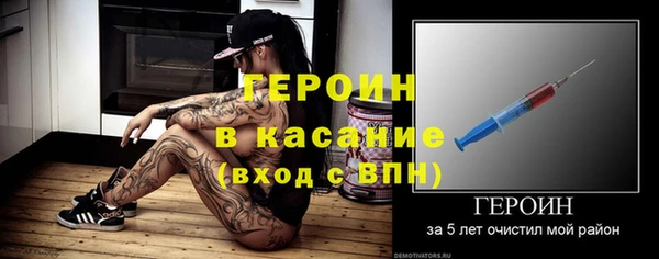гидра Надым