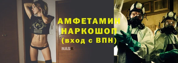 гидра Надым