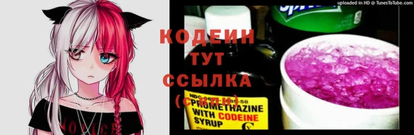 гидра Надым