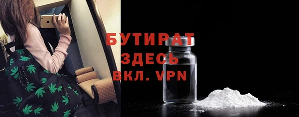 гидра Надым