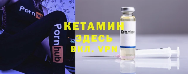 гидра Надым