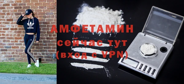 гидра Надым