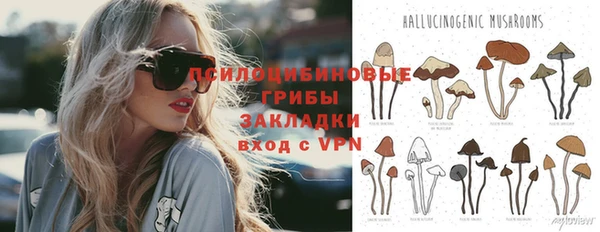 гидра Надым