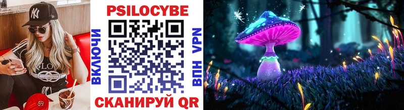 Псилоцибиновые грибы Psilocybine cubensis мориарти формула Сатка