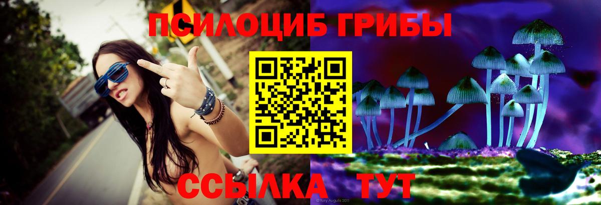 Псилоцибиновые грибы мицелий  купить закладку  Псилоцибиновые грибы мухоморы  Сатка 